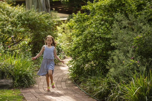 McLaren Vale Family-Friendly Cellar Doors And Playgrounds